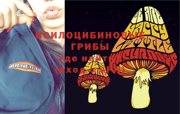 ПСИЛОЦИБИНОВЫЕ ГРИБЫ Наволоки