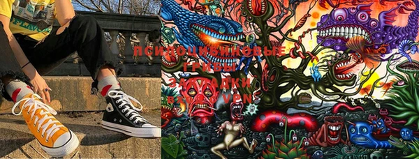 сатива Навашино